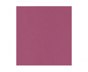 Фон бумажный Polaroid Ruby рубиновый 2.72x11 м